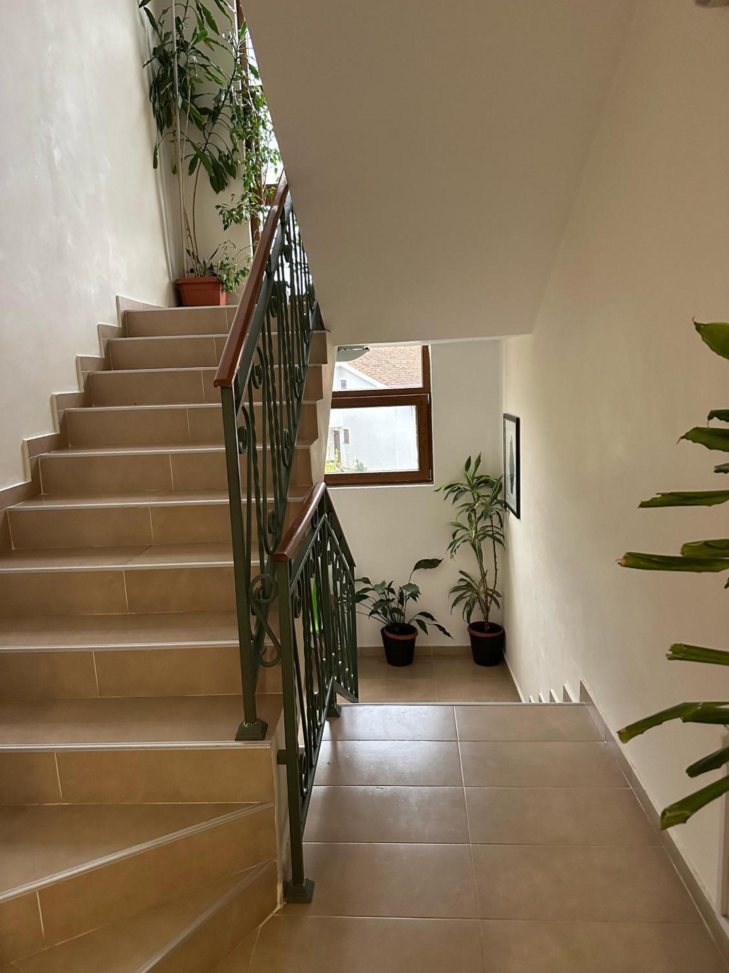Krapina Lux Apartment Budva